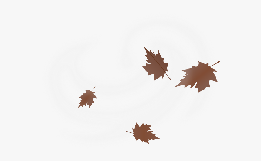 Brown Fall Leaves Vector Drawing On White Background - Maple Leaf Blowing In Wind, HD Png Download