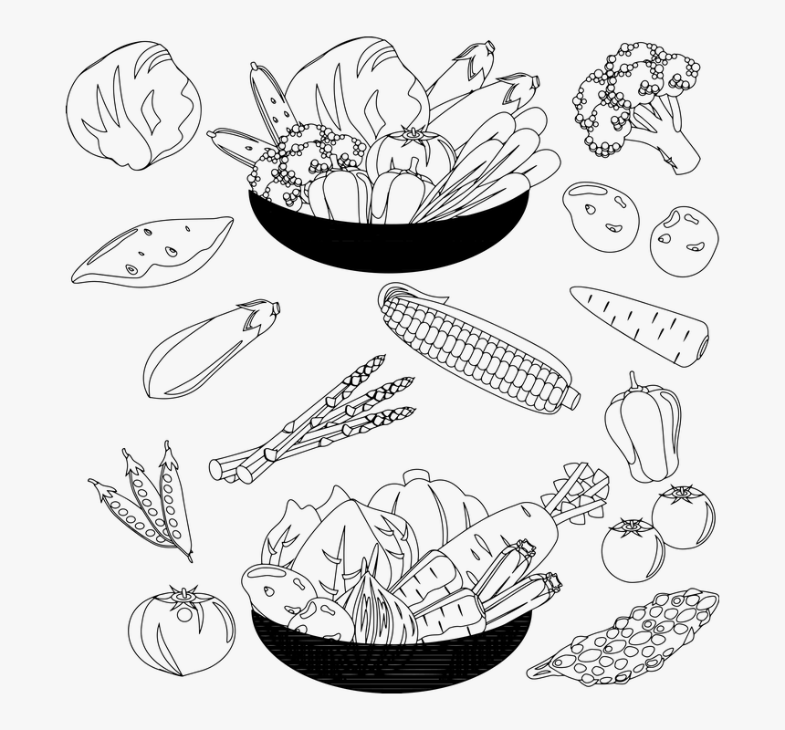 Sketch, HD Png Download