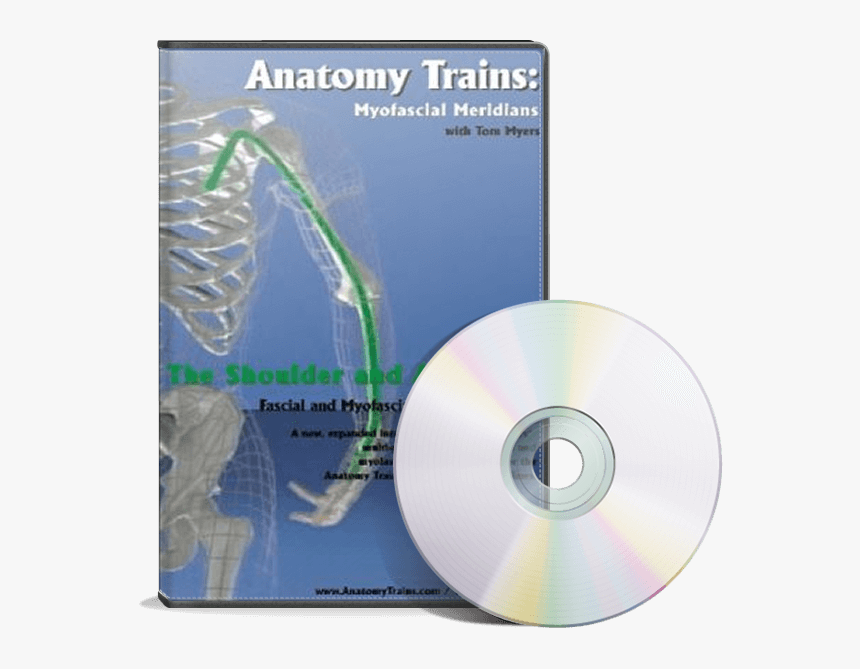 The Shoulder & Arm Lines - Cd, HD Png Download