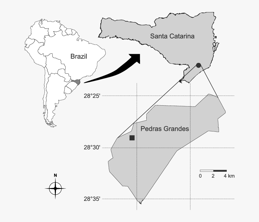 Latin American Social Sciences Institute, HD Png Download