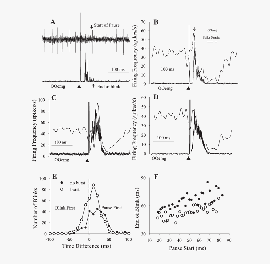 Diagram, HD Png Download