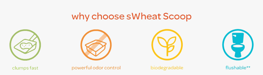 Swheat Scoop Features - Circle, HD Png Download