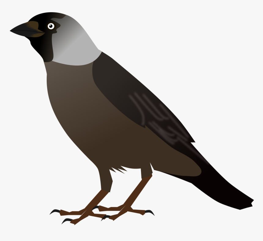Crow Bird Cliparts - Crow Bird Clipart, HD Png Download