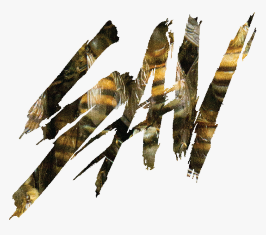 Savkillerbee, HD Png Download