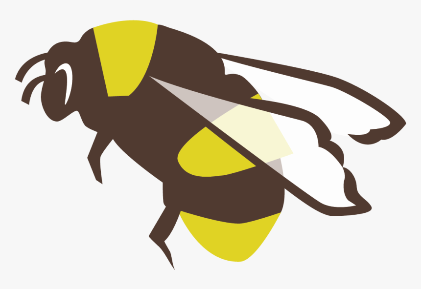 Resources For Bee Farmers - Cartoon Rusty Patched Bumble Bee, HD Png Download