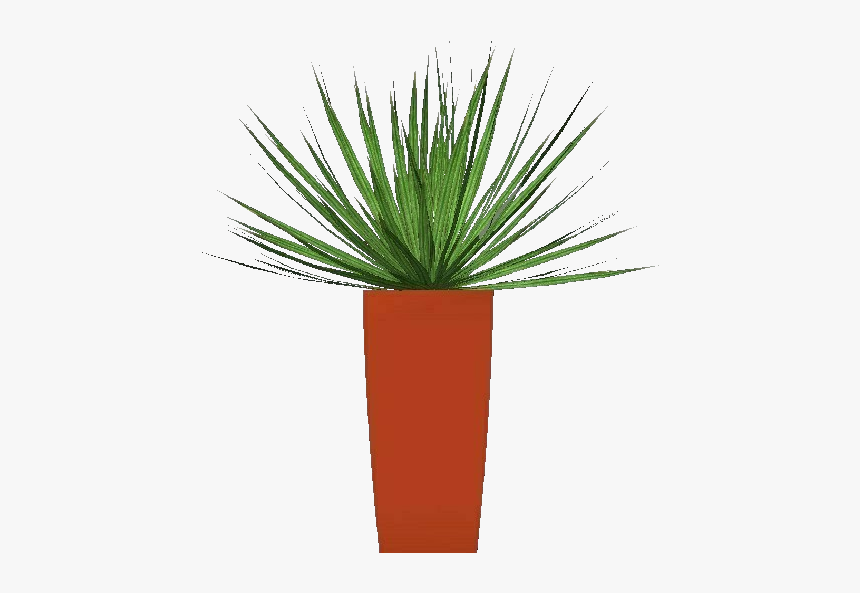 3d Flowers - Cordilinea - Acca Software - Agave Azul, HD Png Download