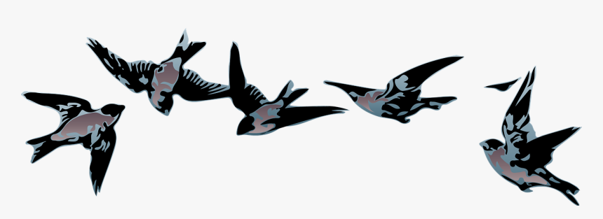 Vector,bird Vector,flight,free Pictures, Free Photos, - Birds, HD Png Download