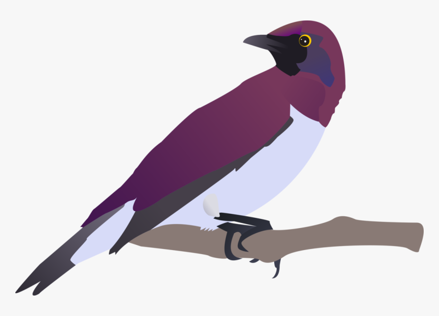 Exotical Bird Svg Clip Arts - Bülbül Clipart, HD Png Download