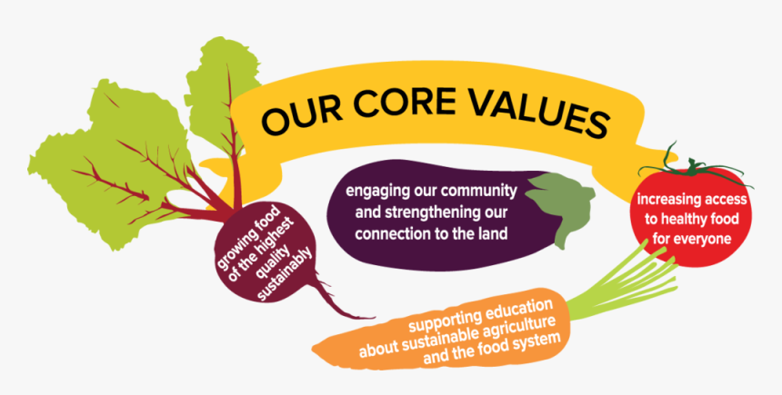 Cfcorevaluesgraphic150 - Illustration, HD Png Download