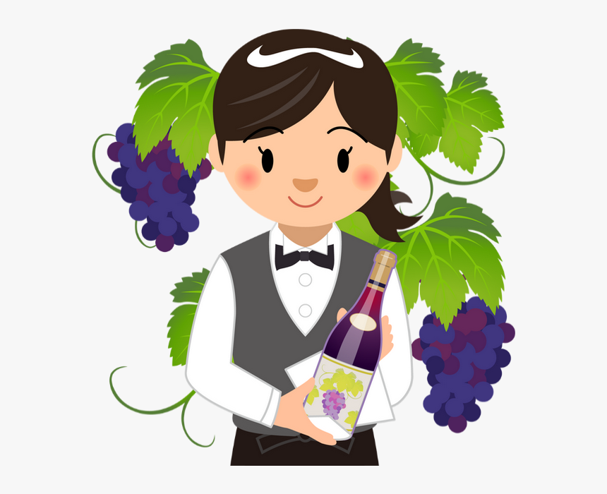 dessin femme et bouteille de vin png raisin wine transparent png transparent png image pngitem dessin femme et bouteille de vin png