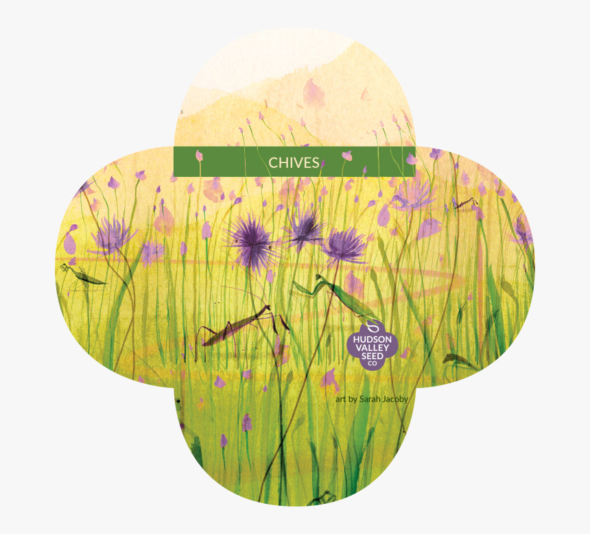 Seed, HD Png Download