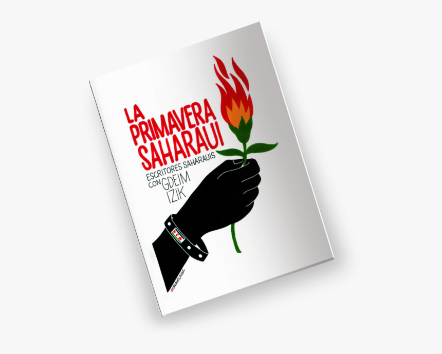 Pack Starter - Giant Protea, HD Png Download