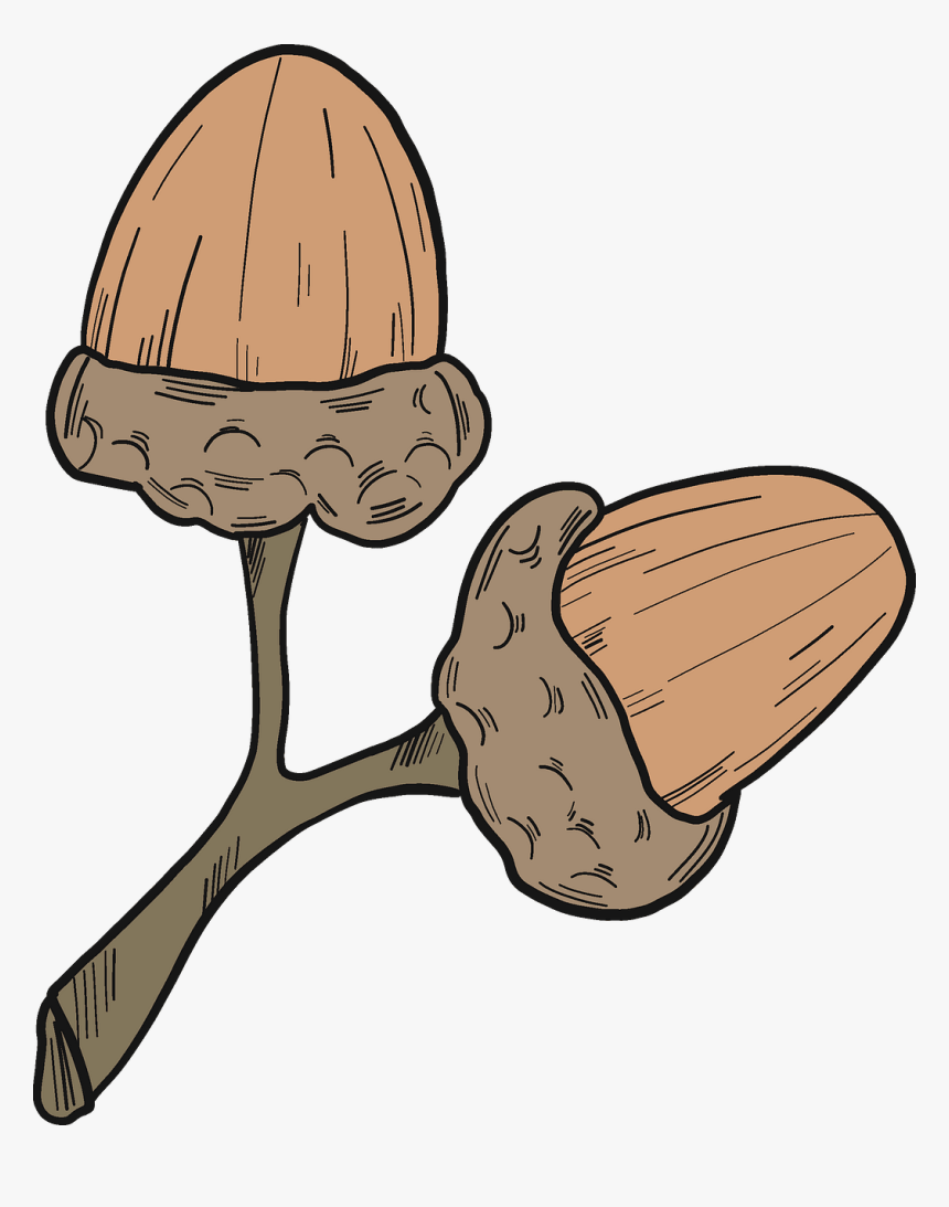 Illustration, HD Png Download