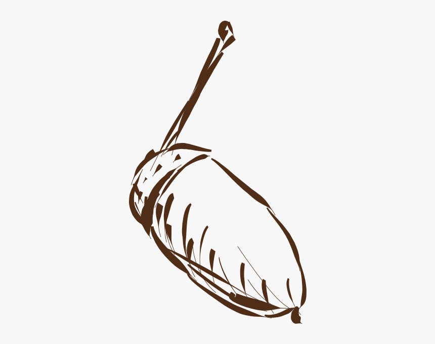 Acorn-1577295125 - Illustration, HD Png Download