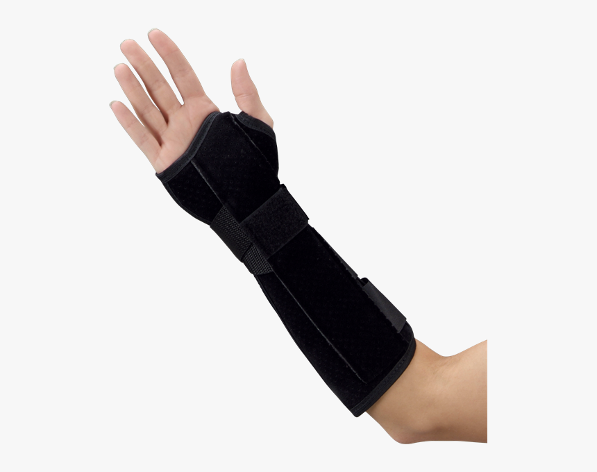 Strap, HD Png Download