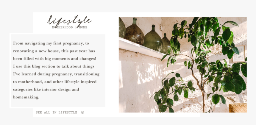 Lifestyle - Tree, HD Png Download