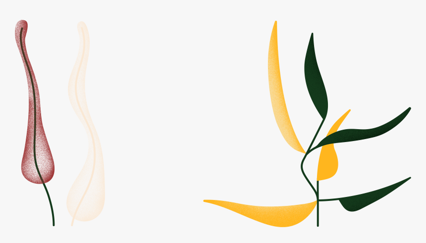 Greenpeace Storytelling - Illustration, HD Png Download