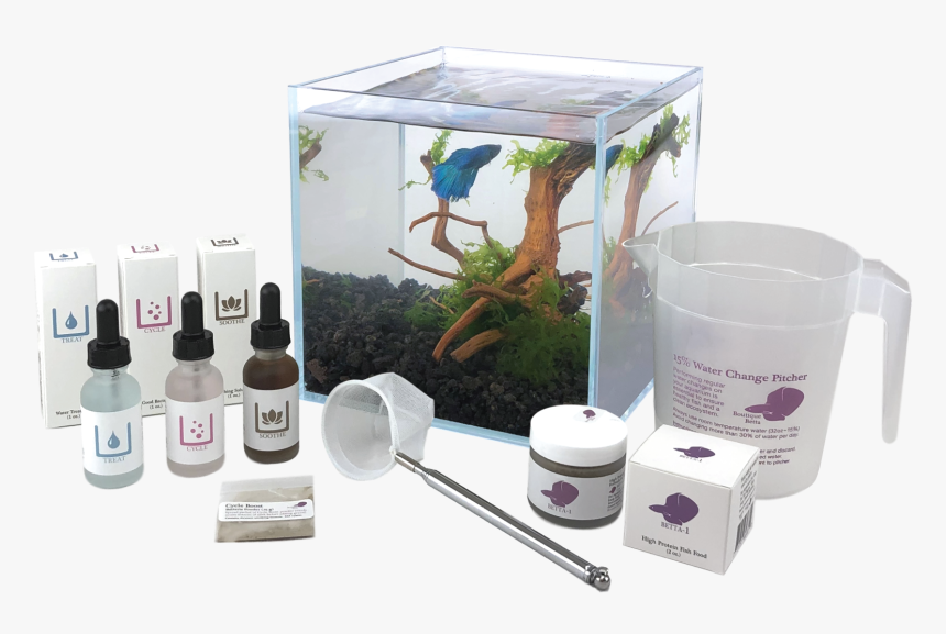 Aquarium, HD Png Download