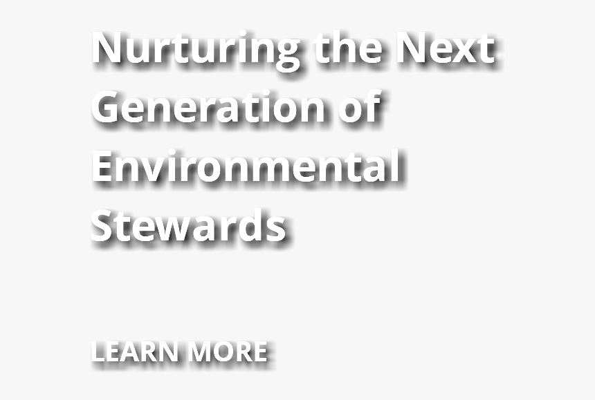 Nurturing The Next Generation Of Environmental Stewards - Data, HD Png Download