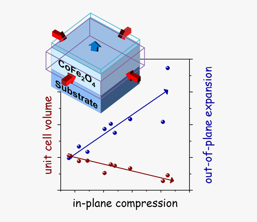 Ministry Of Social Development And Fight Against Hunger, HD Png Download