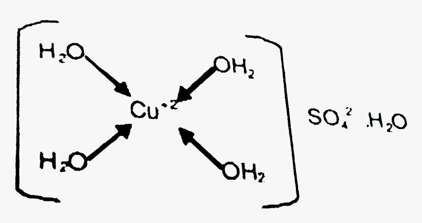 Dribble A Soccer Ball, HD Png Download
