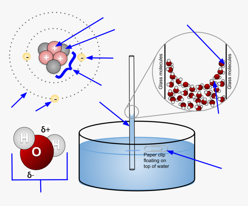 Properties Of Water Diagram, HD Png Download