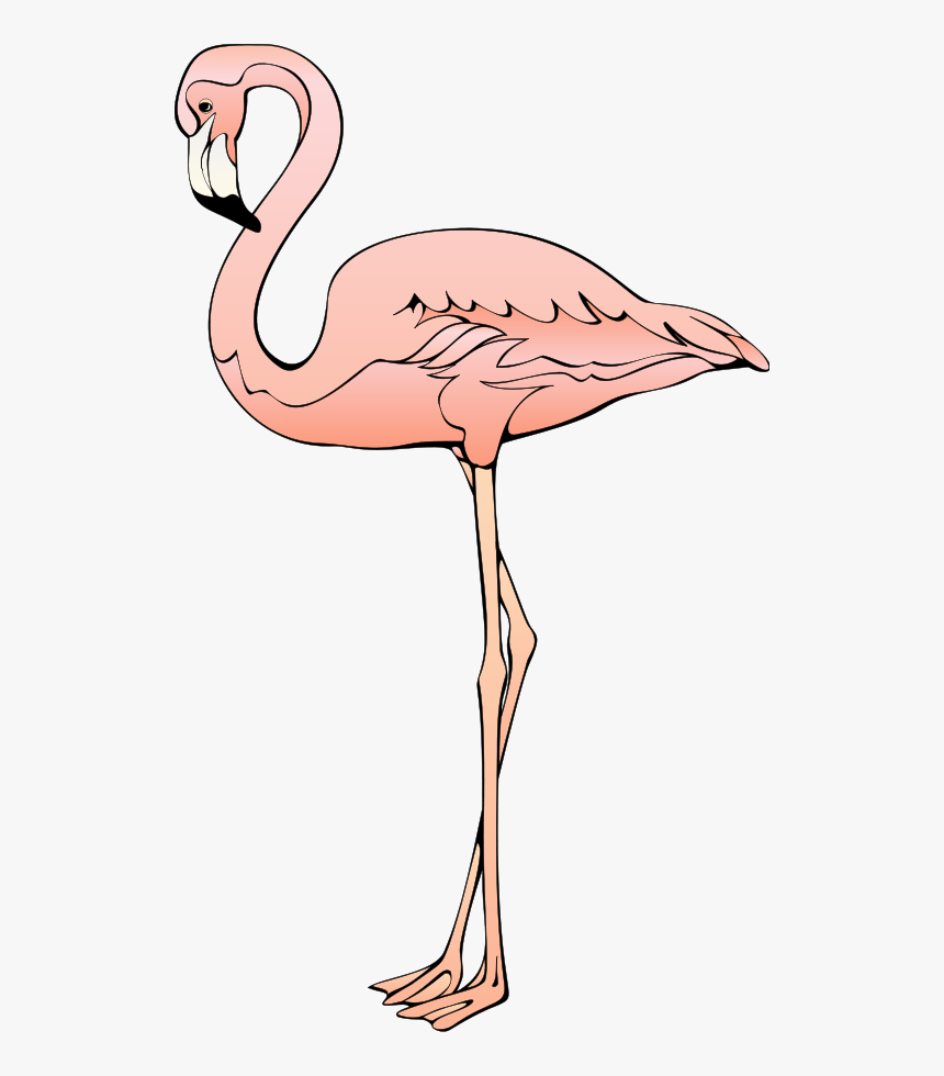 Bird 26 Svg Clip Arts - Clip Art Transparent Transparent Background Flamingos, HD Png Download