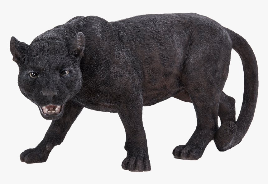 Panthers Real Life, HD Png Download