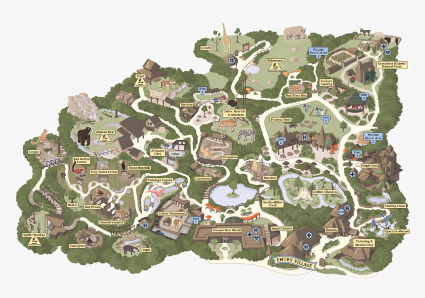 Nashville Zoo Map, Vector Illustration - Nashville Zoo Park Map, HD Png Download