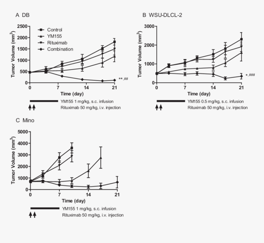 Su Dhl 8 Xenograft And Rituximab, HD Png Download