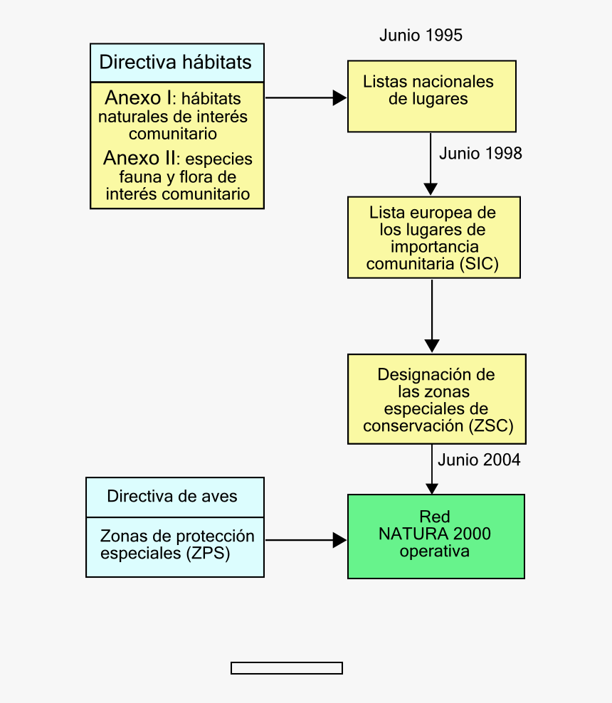 Transparent Lista Png, Png Download