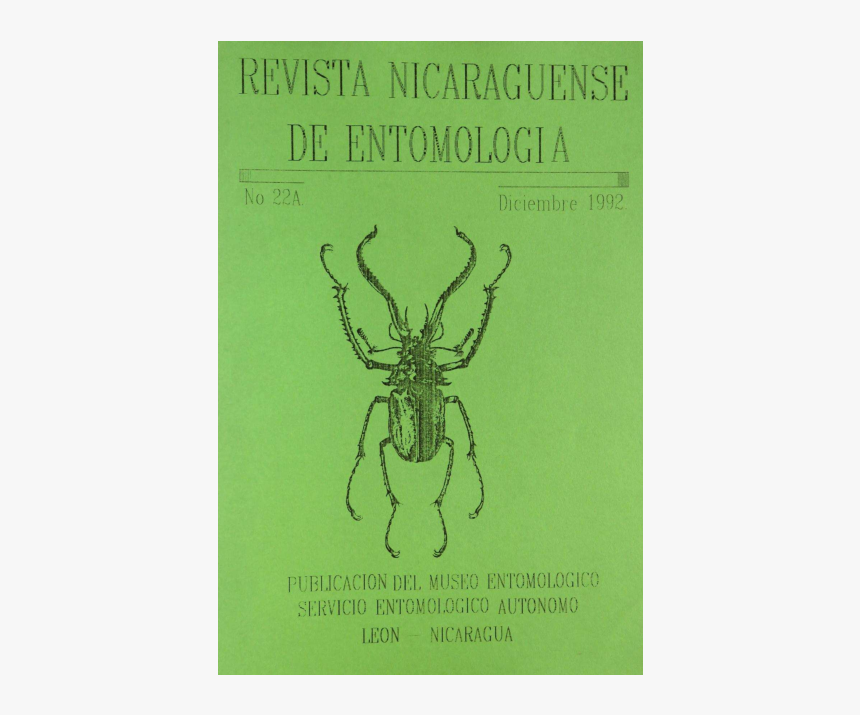 Wolf Spider, HD Png Download