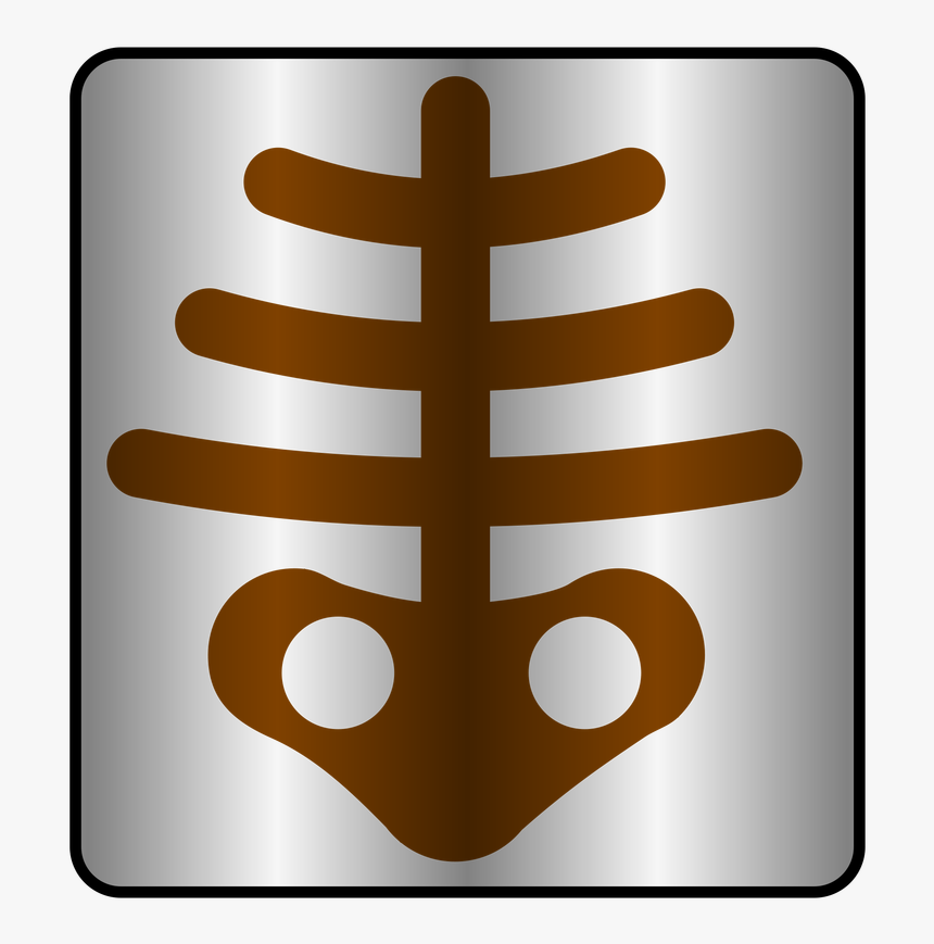 X Ray Clipart , Png Download - Illustration, Transparent Png