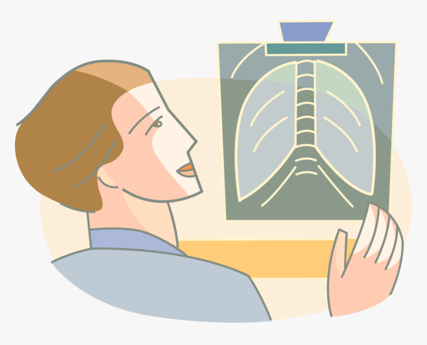 Vector Illustration Of Medical Doctor Physician Examines - Illustration, HD Png Download
