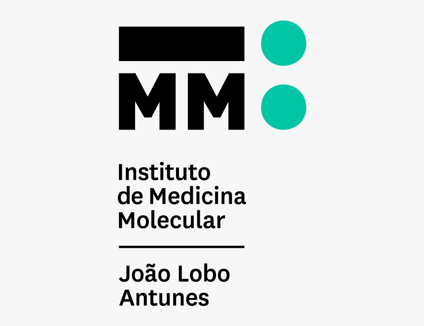 Instituto De Medicina Molecular, HD Png Download