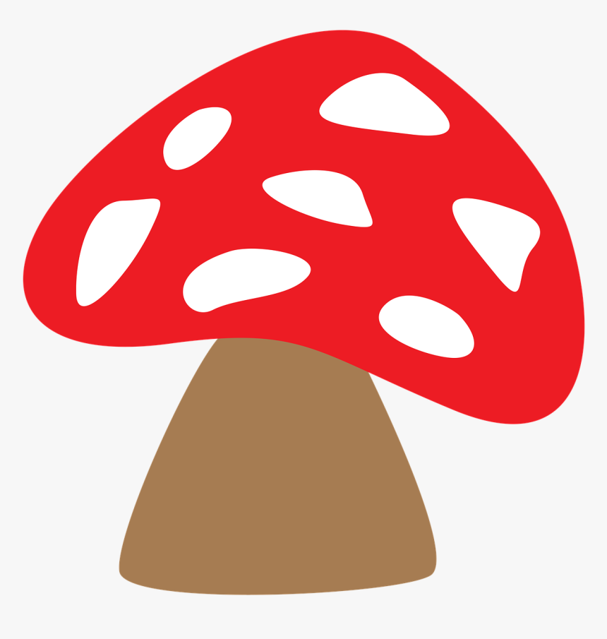 Fungus Mushrooms Tree Fungus Free Photo - Mushroom Tree Clipart, HD Png Download