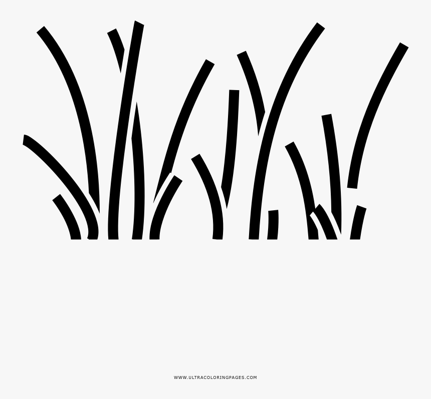 Dibujo De Hierba Recta Para Colorear - Hierba Dibujo Para Colorear, HD Png Download