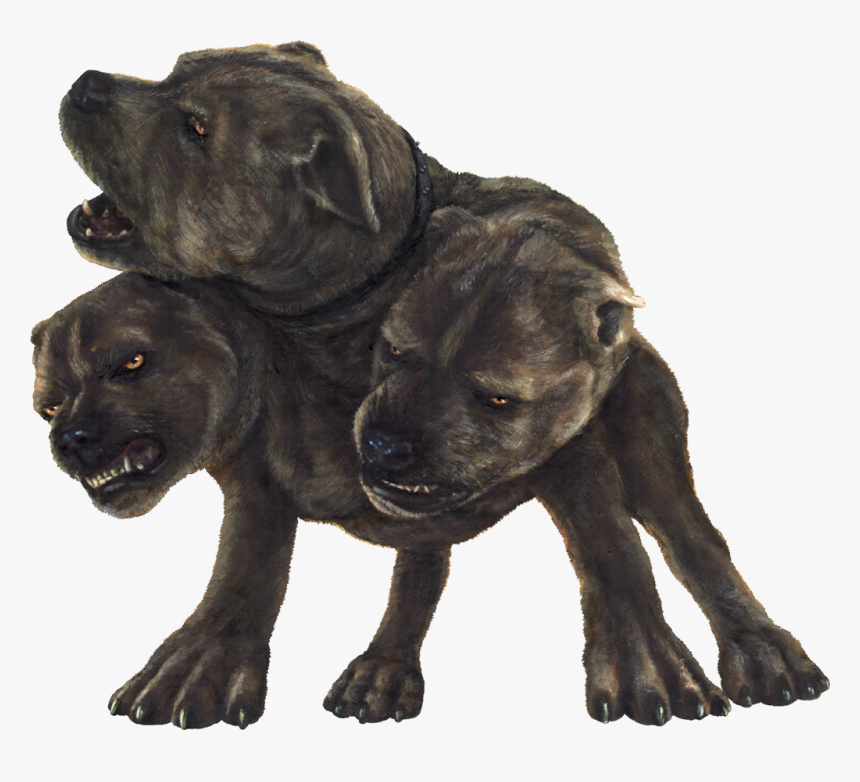 Fluffy Png, Transparent Png