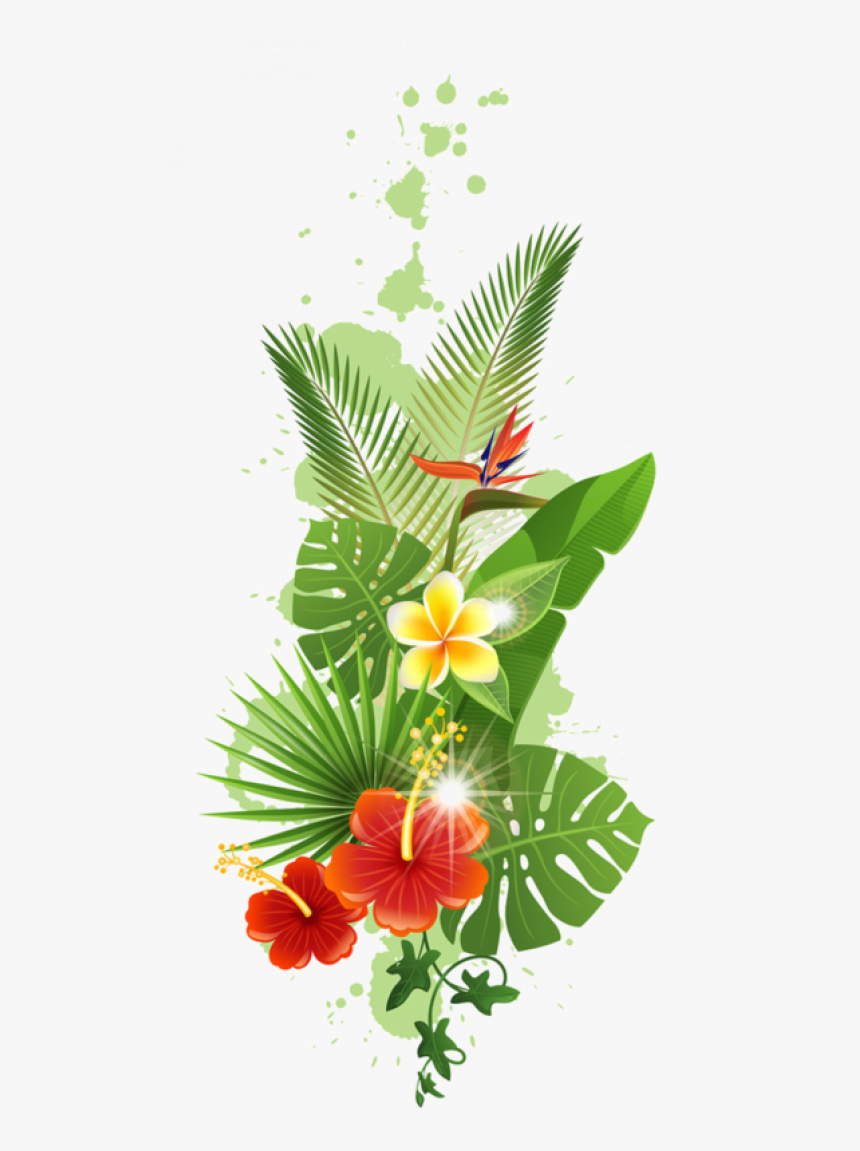 Tropical Forest Flowers Png, Transparent Png
