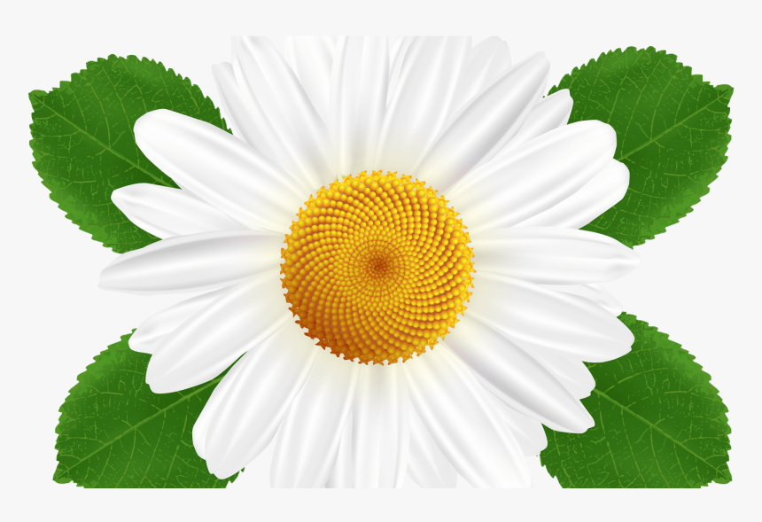 Transparent Pencil Clipart Transparent Background - Clip Art, HD Png Download