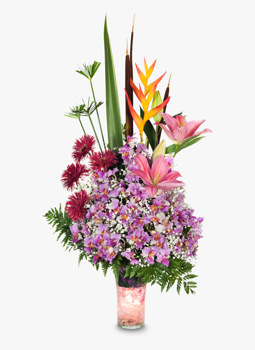 Bird Of Paradise, HD Png Download