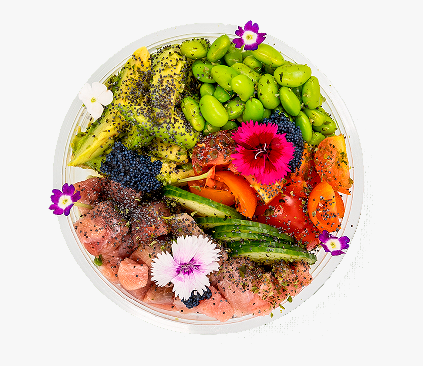 Dish, HD Png Download
