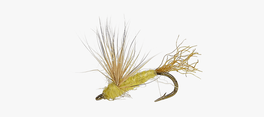 Grass, HD Png Download