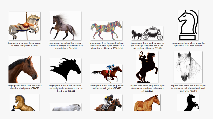 صور احصنه بدون خلفيه Horse Png ترايدنت - Stallion, Transparent Png