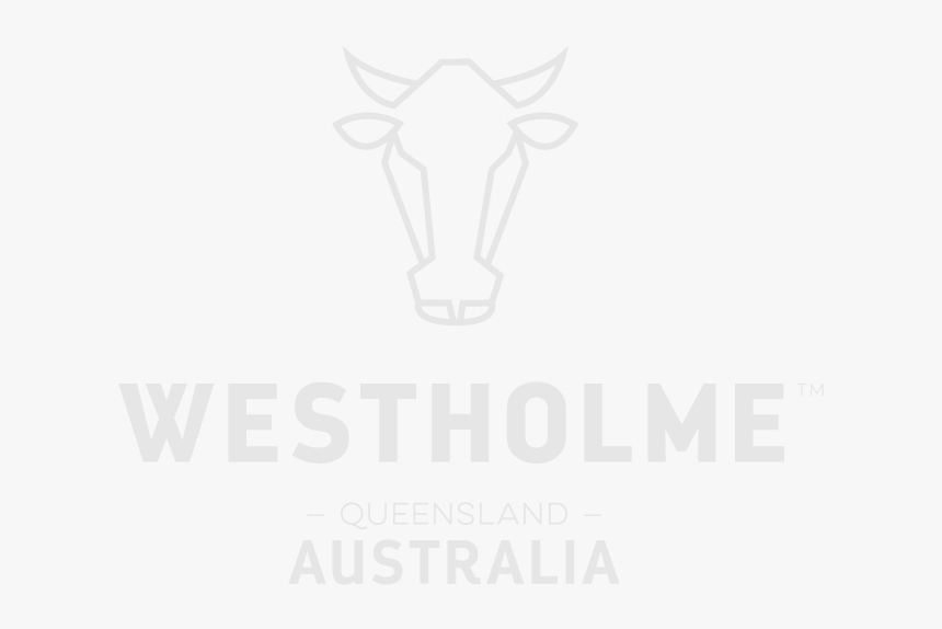 Poster, HD Png Download