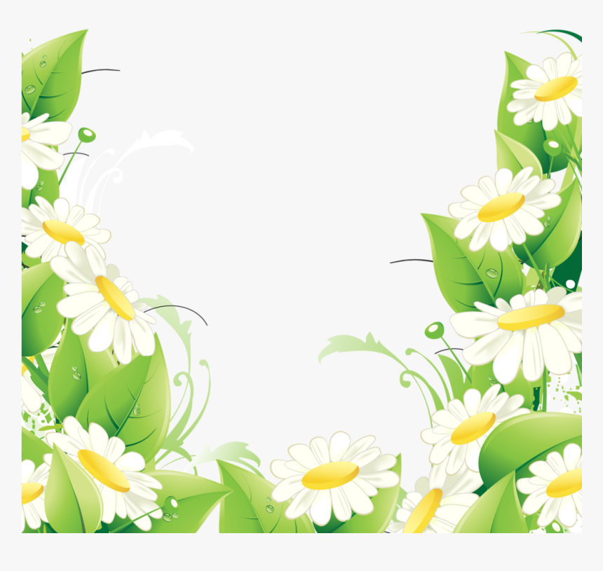 Фотки Flower Backgrounds, Pretty Flowers, Daisy, Flower - Bordure De Fleur Png, Transparent Png