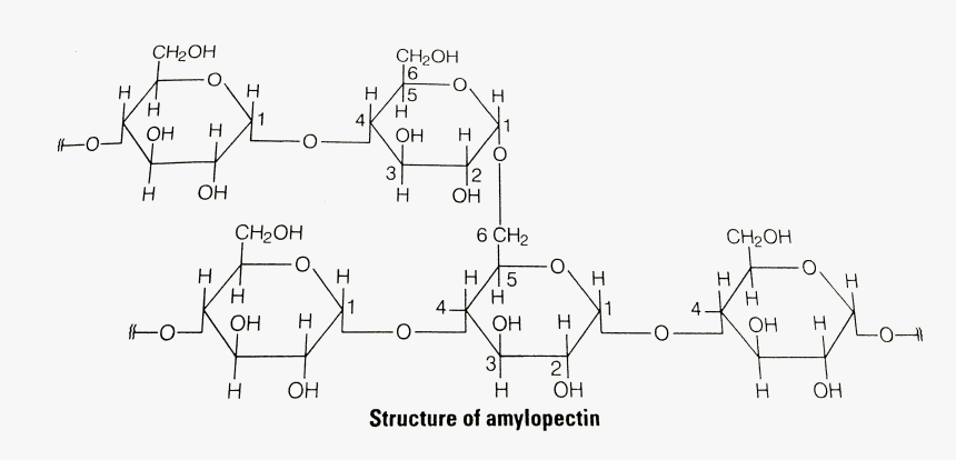 Diagram, HD Png Download