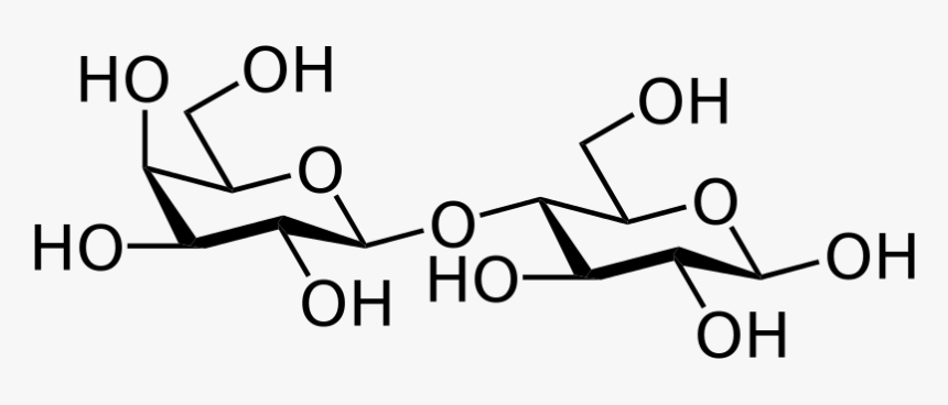 Tipos De Enlace Que Permite La Formacion De Macromoleculas, HD Png Download