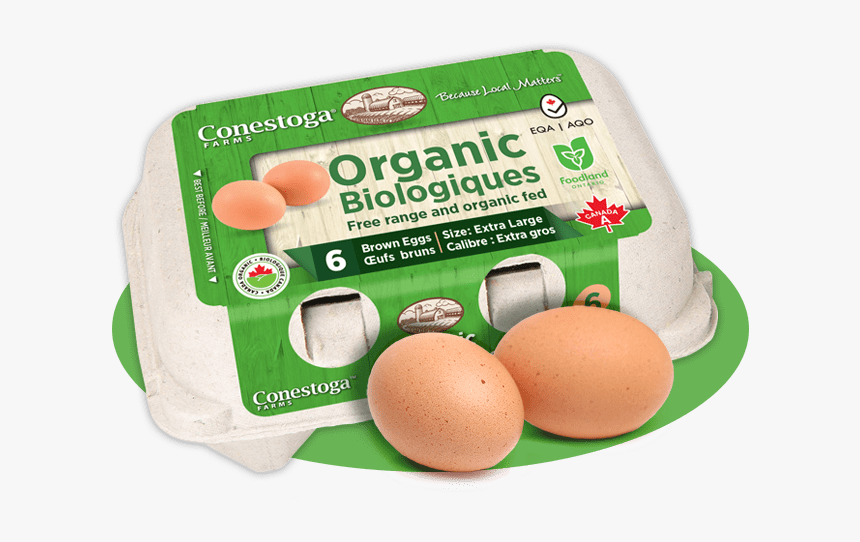 Conestoga Organic Eggs - Egg, HD Png Download