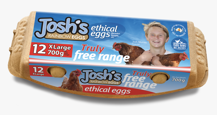 Picture - Pet, HD Png Download